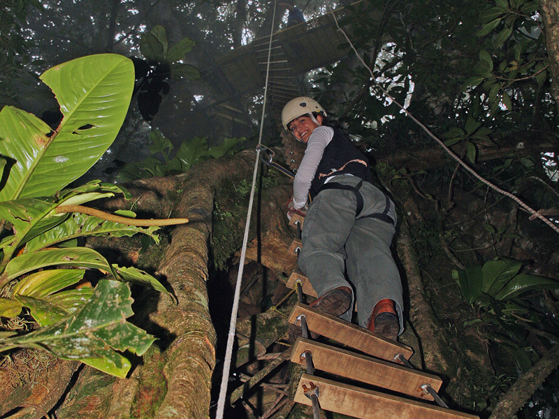 Climbing to Platform Original Canopy Tour Monteverde